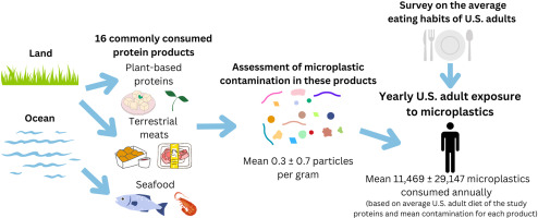 Infographic illustrating the pathway from consumption of 16 protein products from land and ocean to assessment of microplastic contamination and resulting yearly exposure for U.S. adults.