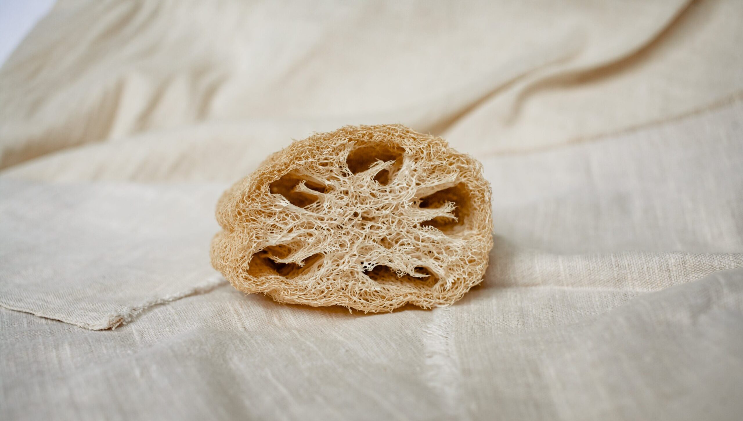 Natural loofah on a linen background highlighting eco-friendly bathing accessories.