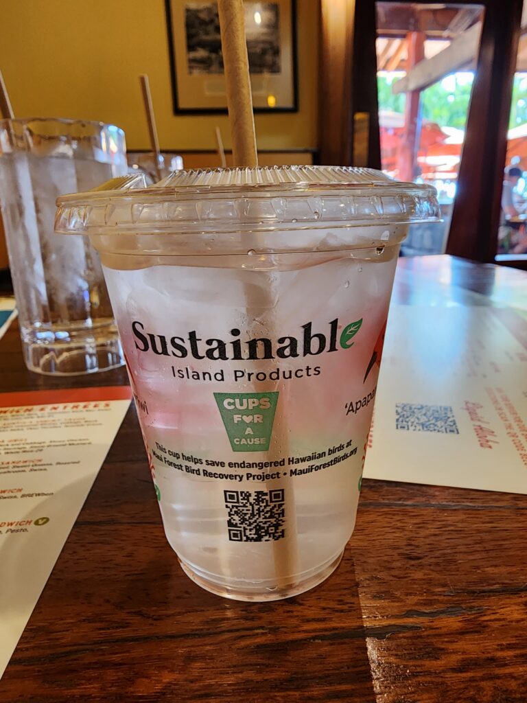 A beverage in a commercially compostable cup with a paper straw, indicating a move towards sustainable products.